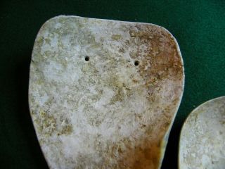 Extremely Rare Shell Weeping Eye Mask Indian Artifacts / Arrowheads 6