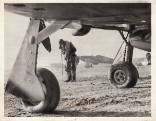 Royal Air Force Hurricane Squadron Pilot Buckles On Parachute - 1942