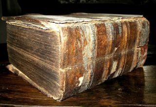 1741 HOLY BIBLE Illustrated PIGSKIN Antique GERMAN Luther PLATES Vellum BOOK Old 2
