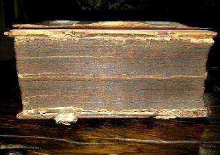 1741 HOLY BIBLE Illustrated PIGSKIN Antique GERMAN Luther PLATES Vellum BOOK Old 3
