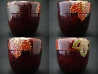 Japan Lacquer Wooden Grained Tea caddy PAULOWNIA design in makie Natsume (402) 3