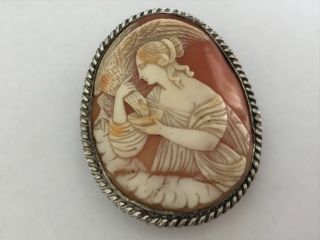 Antique Victorian 1890’s Silver Hebes Bird Shell Cameo Brooch Pin.  2 1/4” Large