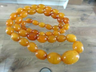 Antique Yellow Butterscotch Egg Yolk Baltic Amber Beads Necklace 42 Grams