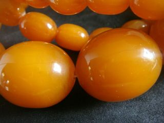 A Vintage Strand Of Heavy 98 Gram Real Copal Butterscotch Egg Yolk Yellow Amber