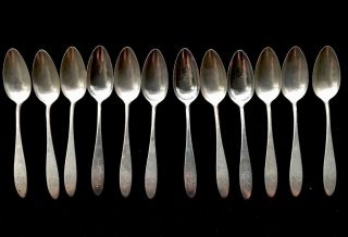 12 Vintage Sterling Reed & Barton French Antique Spoons (39)