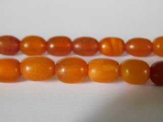 b/ ANTIQUE NATURAL BUTTERSCOTCH EGG YOLK AMBER BEADS NECKLACE 6