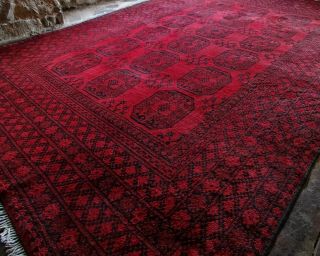 X Large Hand Knotted Afghan Wool Bokhara Rug 3x2m Handmade Carpet Keshan Red
