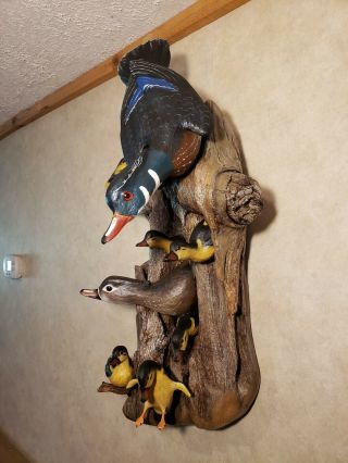 Woodduck family wood carving waterfowl art duck decoy Casey Edwards 10