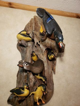 Woodduck family wood carving waterfowl art duck decoy Casey Edwards 11