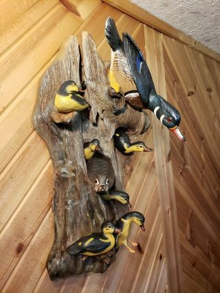 Woodduck family wood carving waterfowl art duck decoy Casey Edwards 2