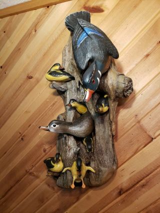 Woodduck family wood carving waterfowl art duck decoy Casey Edwards 3