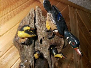 Woodduck family wood carving waterfowl art duck decoy Casey Edwards 4