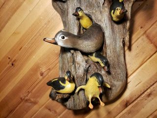 Woodduck family wood carving waterfowl art duck decoy Casey Edwards 5