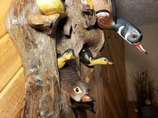 Woodduck family wood carving waterfowl art duck decoy Casey Edwards 6