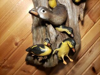 Woodduck family wood carving waterfowl art duck decoy Casey Edwards 7
