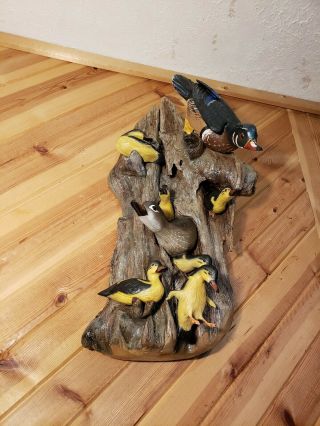 Woodduck family wood carving waterfowl art duck decoy Casey Edwards 8