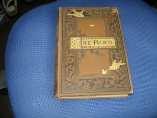 Vintage The Bird By Jules Michelet (1883) With 210 Illustrations By Giacomelli