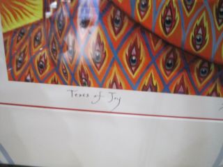 OFFICIAL ALEX GREY Tears of Joy Poster Print signed numbered /100 rare Framed 2