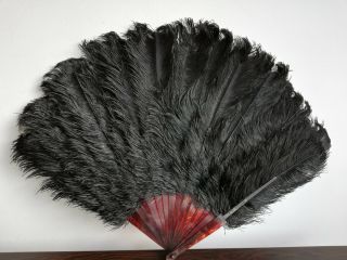 Antique Large Folding Fan Black Ostrich Feather Ventaglio Facher Elstree Herts