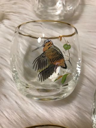 Vintage Orvis 7 Ned Smith Wildlife Glasses Tumbler Rocks Glasses Ducks Waterfoul 4