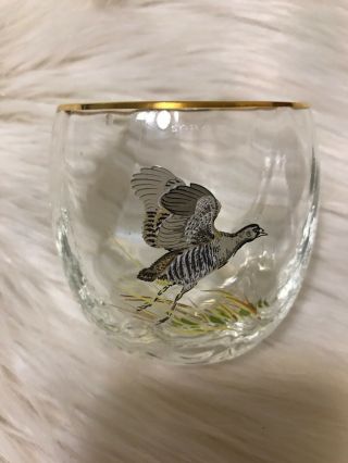 Vintage Orvis 7 Ned Smith Wildlife Glasses Tumbler Rocks Glasses Ducks Waterfoul 8