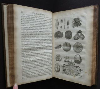 NATURAL HISTORY OXFORDSHIRE 1677 PLOT 1st FOSSILS PLANTS ANTIQUITIES SHELLS 5
