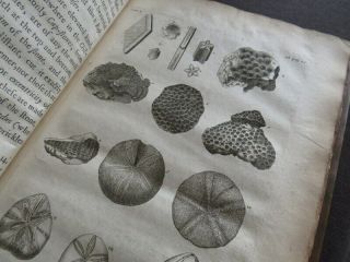 NATURAL HISTORY OXFORDSHIRE 1677 PLOT 1st FOSSILS PLANTS ANTIQUITIES SHELLS 6