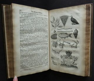 NATURAL HISTORY OXFORDSHIRE 1677 PLOT 1st FOSSILS PLANTS ANTIQUITIES SHELLS 9