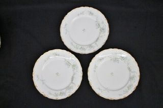 12 Antique Haviland Limoges Schleiger 248a 215 9 1/2 