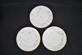 12 Antique Haviland Limoges Schleiger 248a 215 9 1/2 