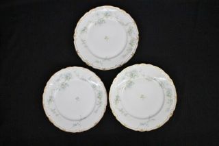 12 Antique Haviland Limoges Schleiger 248a 215 9 1/2 