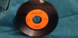 TORI AMOS BALTIMORE VINYL 45 VERY RARE,  AUTHENTIC,  FROM SILVER SPRING MD 3
