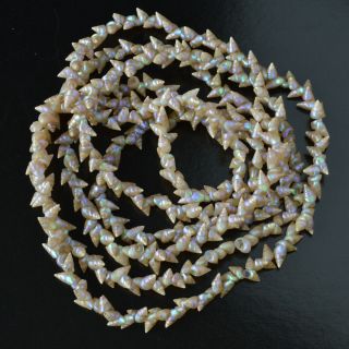 Long Vintage Maireener Tasmanian Aboriginal Iridescent Shell Necklace