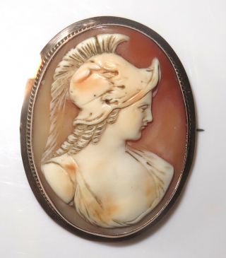 Vintage Antique Victorian 9K 9ct Solid Gold Pink Shell Classic Cameo Brooch Pin 3