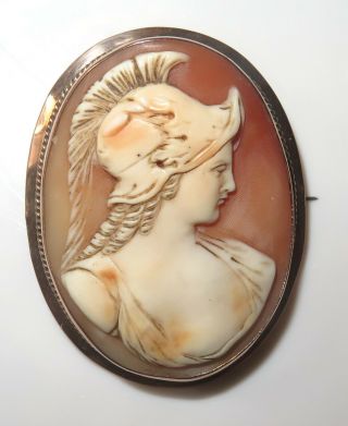 Vintage Antique Victorian 9K 9ct Solid Gold Pink Shell Classic Cameo Brooch Pin 7