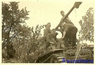 Rare: German Panzermen In Woods W/ Their Marder Iii Tank Destroyer