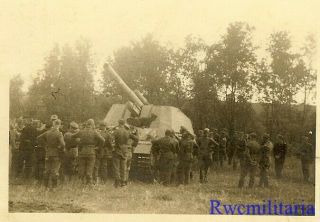 Rare: German Hummel 15cm Self - Propelled Artillery Gun In Field