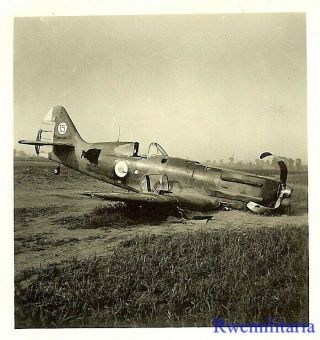 Rare Shot Down French Dewoitine D.  520 Fighter Plane In Field; 1940