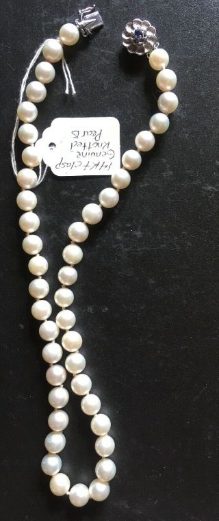 Vintage Cultured Salt Water Pearl Necklace - 14k Gold Sapphire Clasp 16 "