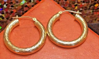 Estate Vintage 14k Yellow Gold Hoop Earrings Designer Signed Eg Eternagold