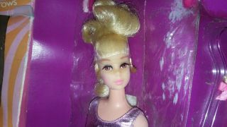 Vintage 1074 Growin ' Pretty Hair Francie in tlc box 9