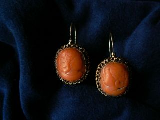 Antique Victorian Large 14k Gold Red Coral Cameo Earrings 1 1/4 " Pierced