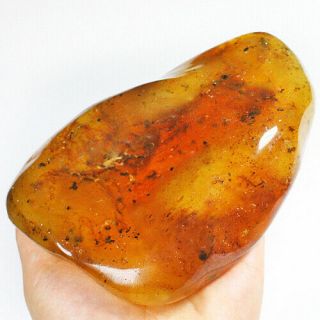 257.  41g Natural Baltic Butterscotch Amber 琥珀 蜜蜡 Facet Rough Specimen Msfc781