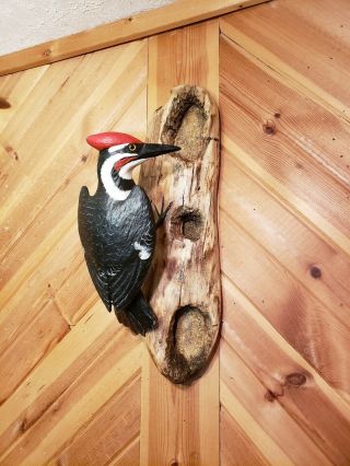 Pileated Woodpecker Wood Carving Songbird Carving Duck Decoy Casey Edwards