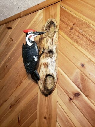 Pileated woodpecker wood carving songbird carving duck decoy Casey Edwards 2