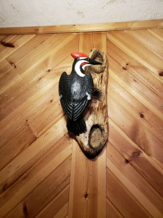 Pileated woodpecker wood carving songbird carving duck decoy Casey Edwards 3