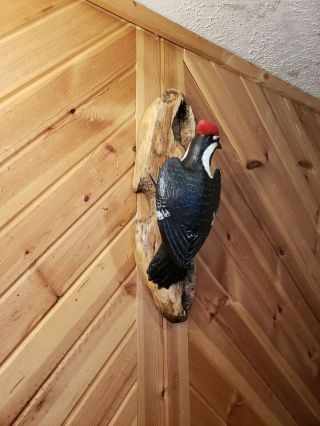 Pileated woodpecker wood carving songbird carving duck decoy Casey Edwards 4