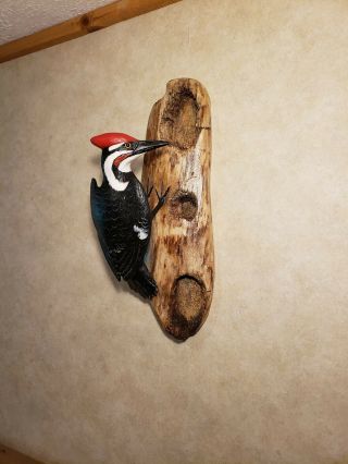 Pileated woodpecker wood carving songbird carving duck decoy Casey Edwards 5