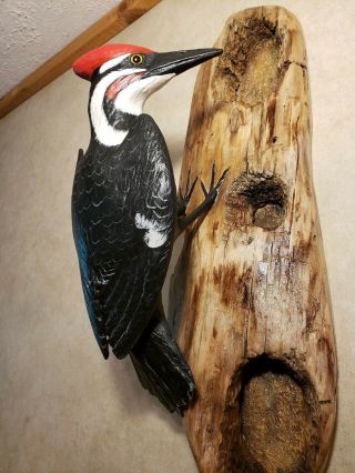 Pileated woodpecker wood carving songbird carving duck decoy Casey Edwards 6