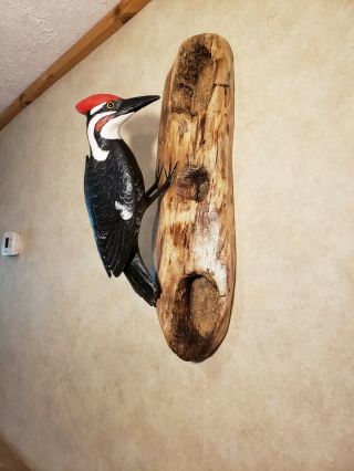 Pileated woodpecker wood carving songbird carving duck decoy Casey Edwards 7